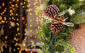 Le Colombier- Room service disponible